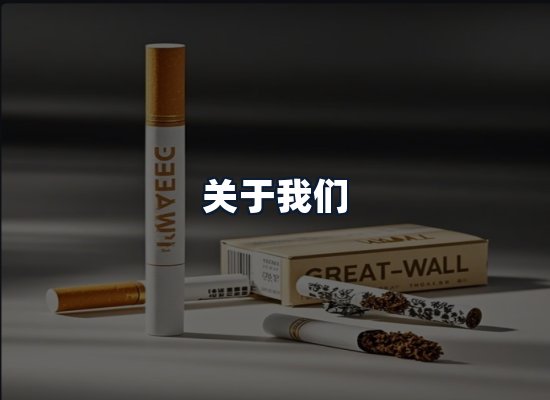 关于我们